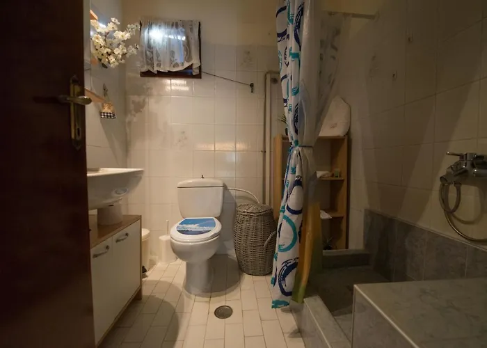 公寓 Mitsi's House *